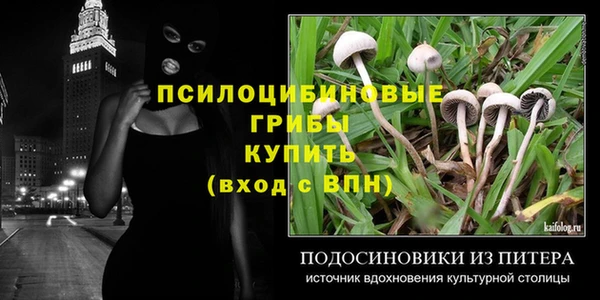 МДМА Каменка