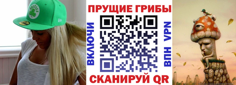 Купить закладки  Вилючинск  Псилоцибиновые грибы Psilocybe 